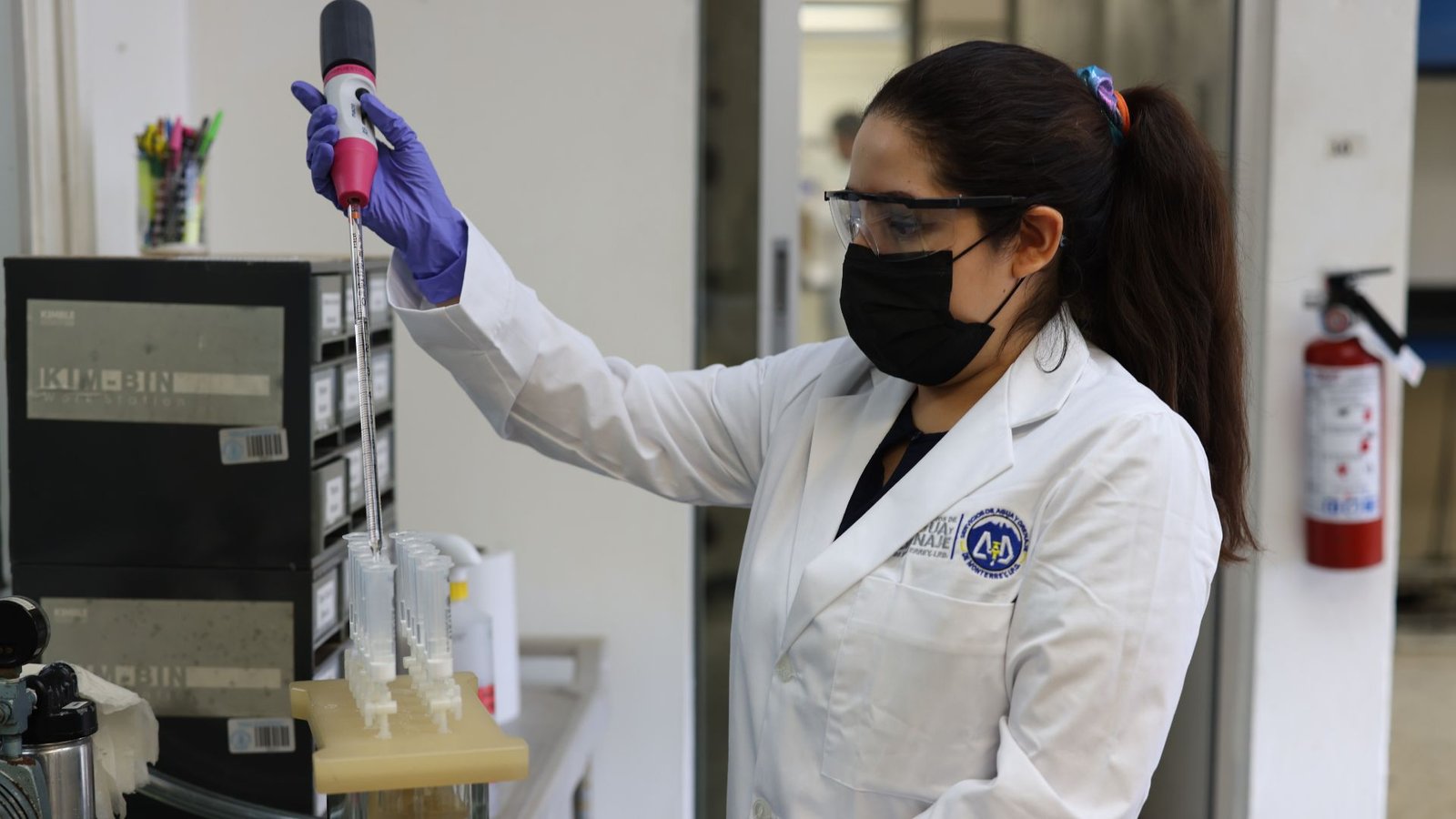 Plecas e informacion - 2026-01-04T133403.323