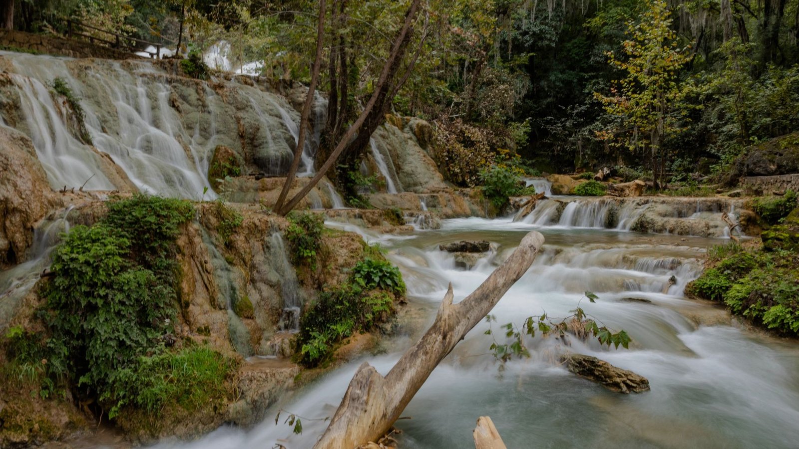 Plecas e informacion - 2026-01-04T142134.738