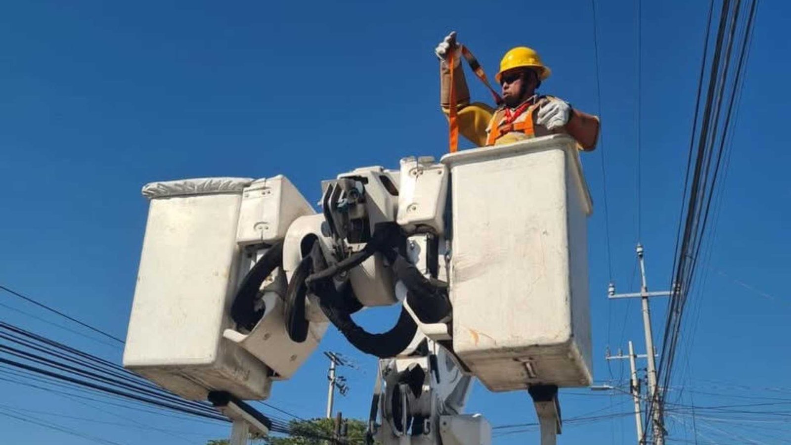 Plecas e informacion - 2026-01-07T082536.405