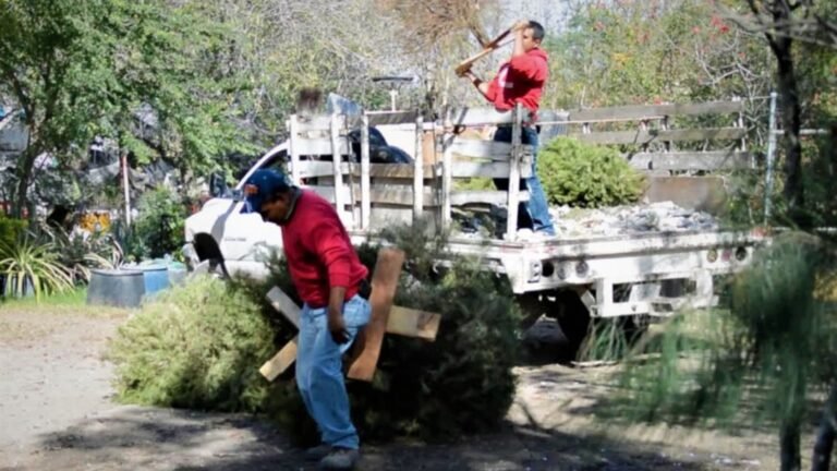 Plecas e informacion - 2026-01-08T152727.268