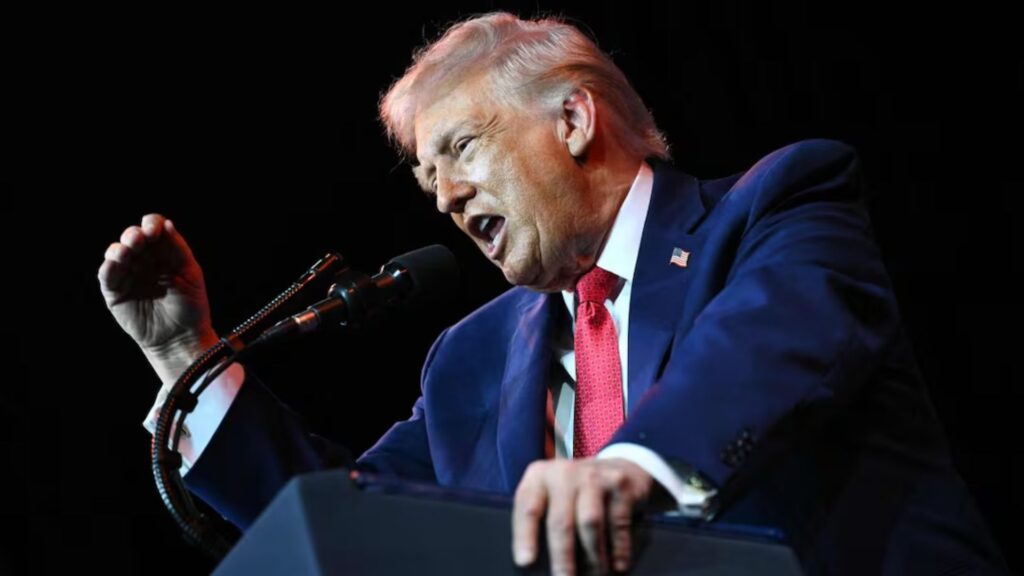 Plecas e informacion - 2026-01-08T161103.083