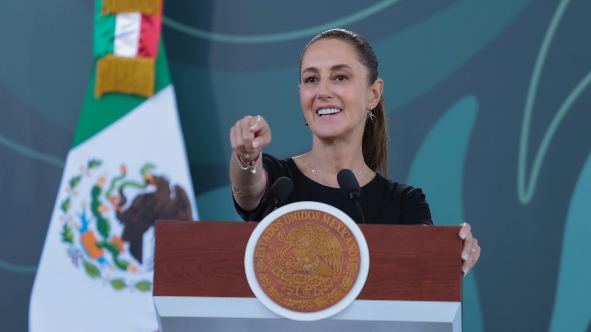 Plecas e informacion - 2026-01-09T160231.877