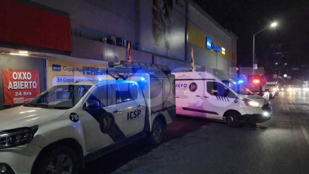 Plecas e informacion - 2026-01-12T190928.901