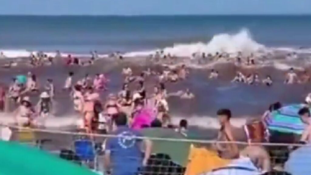 Plecas e informacion - 2026-01-12T194202.491