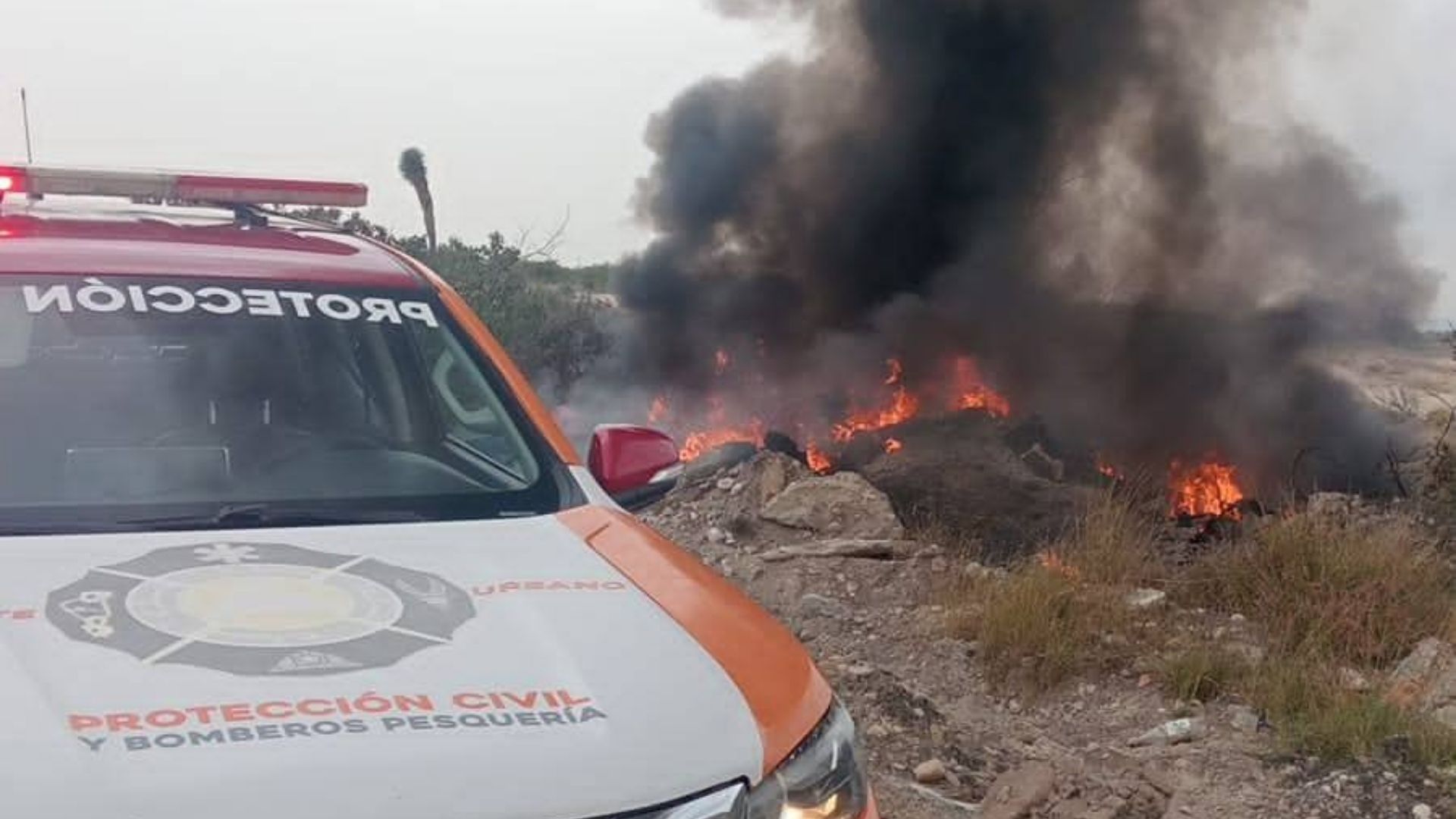 Plecas e informacion - 2026-01-13T180714.929