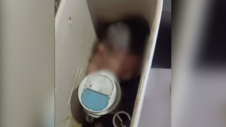 Plecas e informacion - 2026-01-13T181054.698