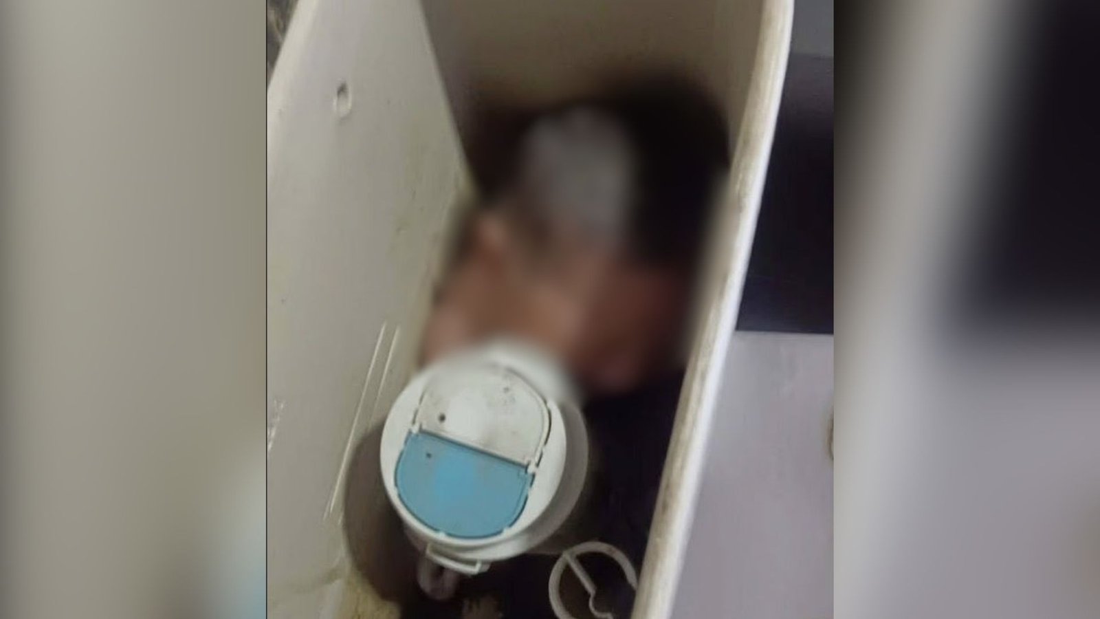 Plecas e informacion - 2026-01-13T181054.698