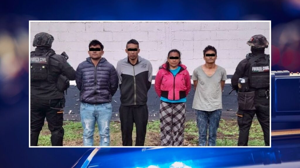 Plecas e informacion - 2026-01-13T182136.048