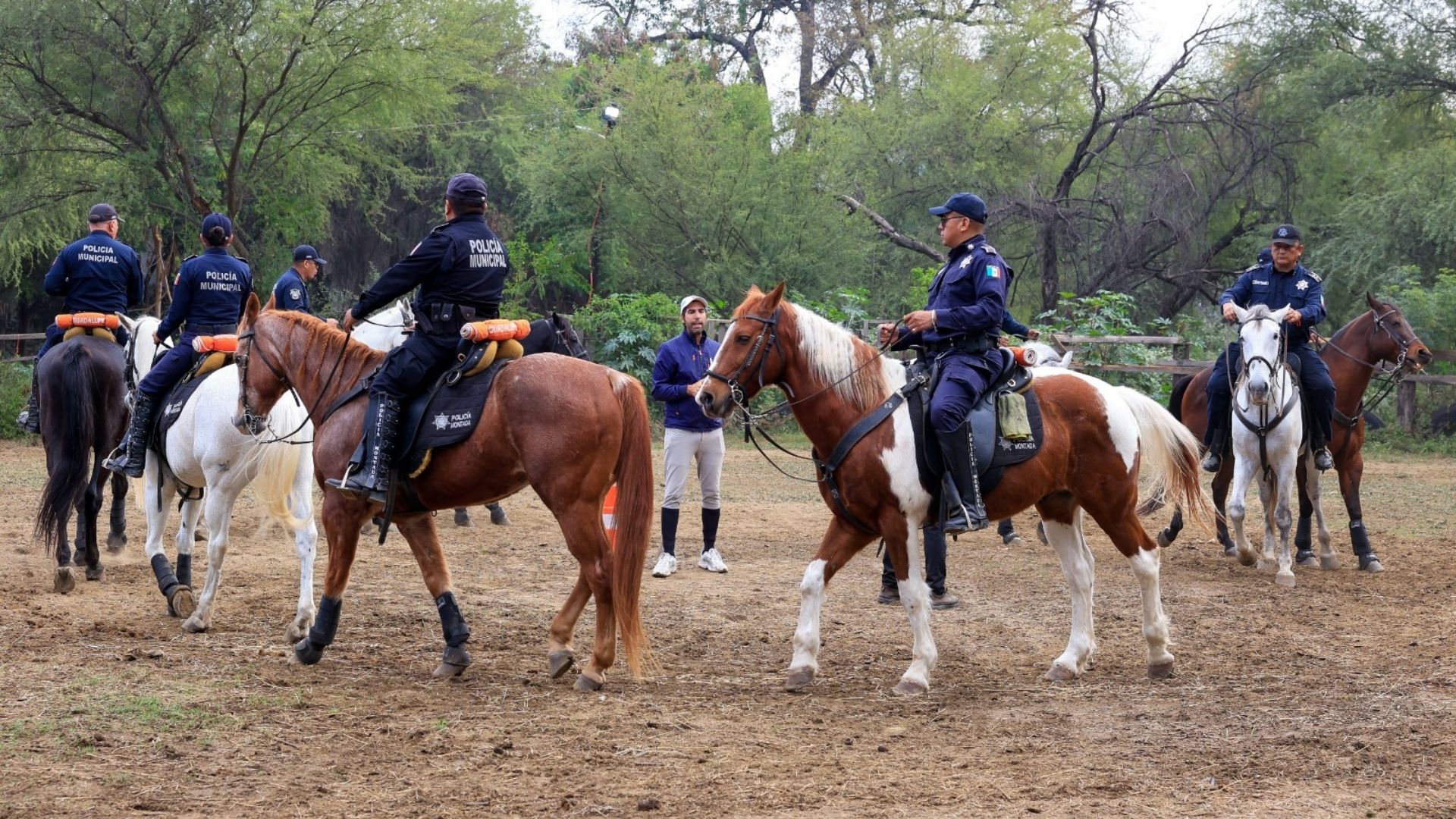 Plecas e informacion - 2026-01-13T184838.116