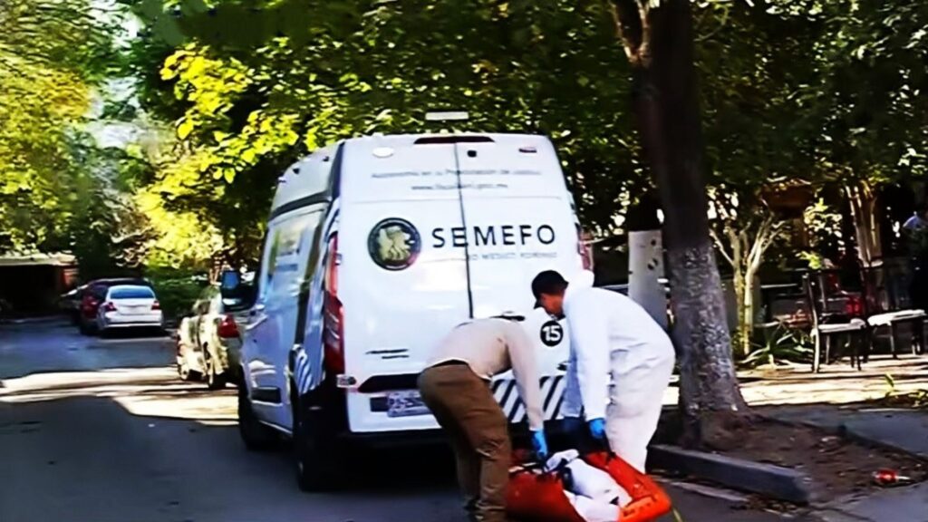 Plecas e informacion - 2026-01-14T200820.623