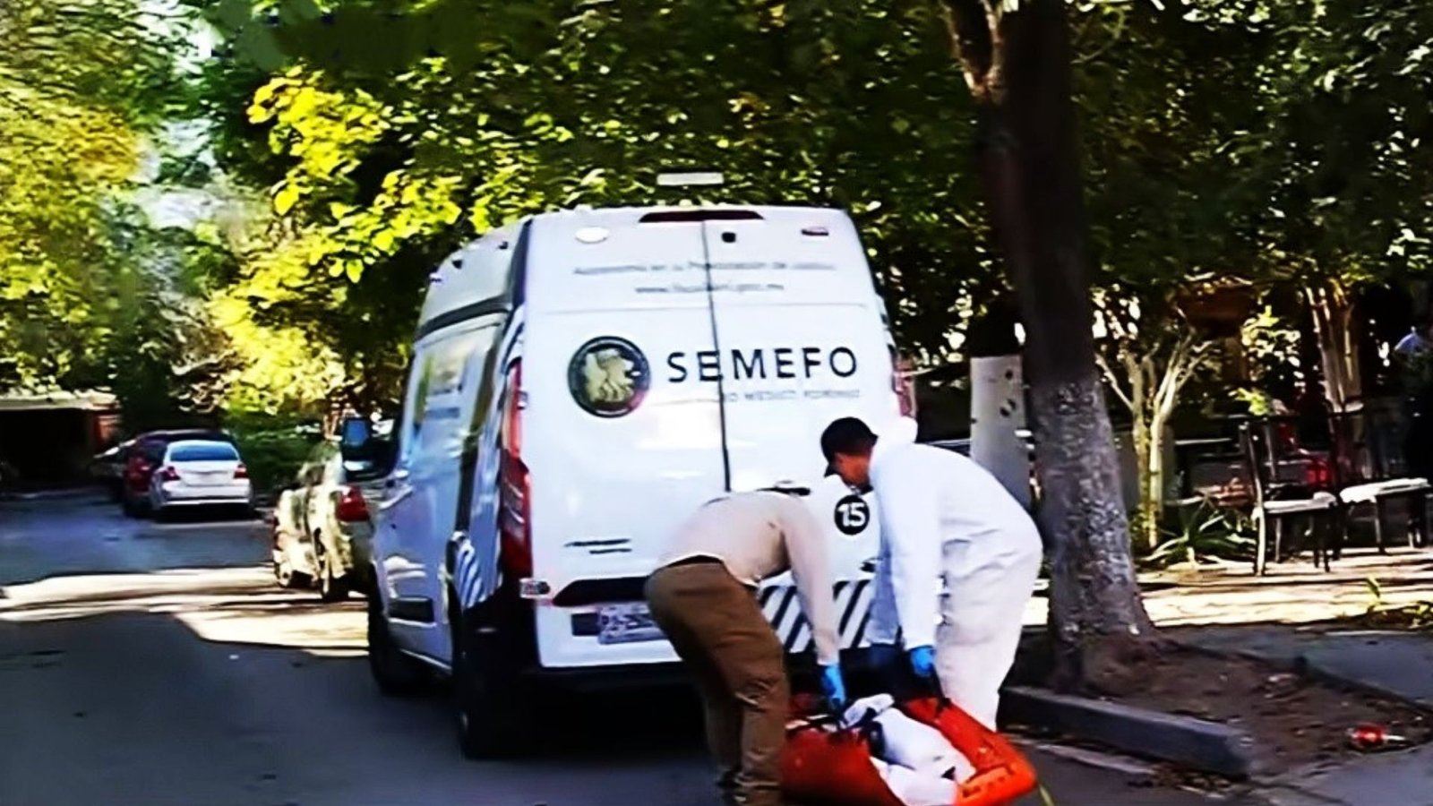 Plecas e informacion - 2026-01-14T200820.623