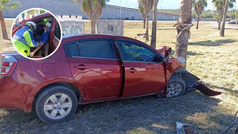 Plecas e informacion - 2026-01-15T161002.527