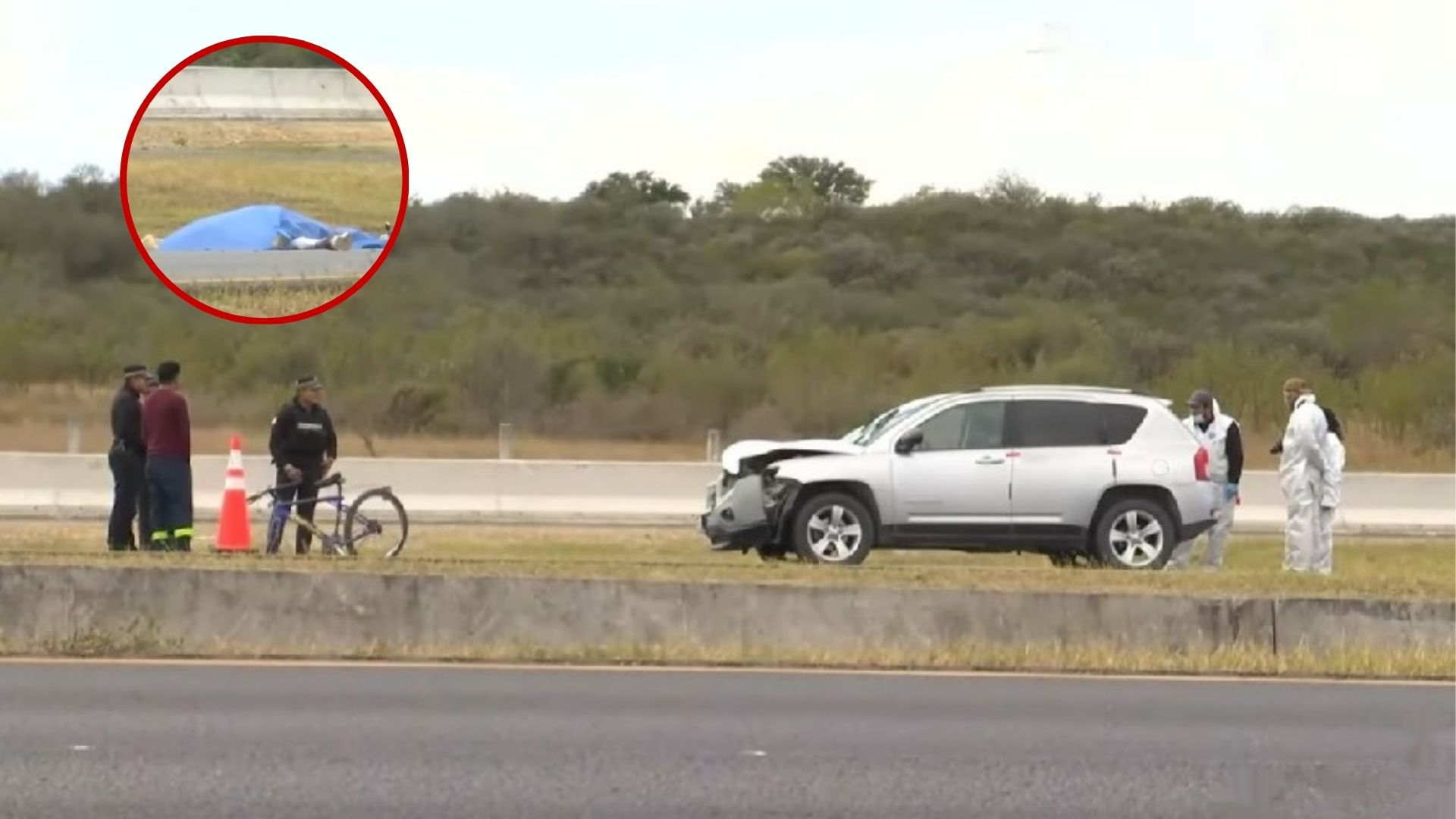 Plecas e informacion - 2026-01-17T130715.657