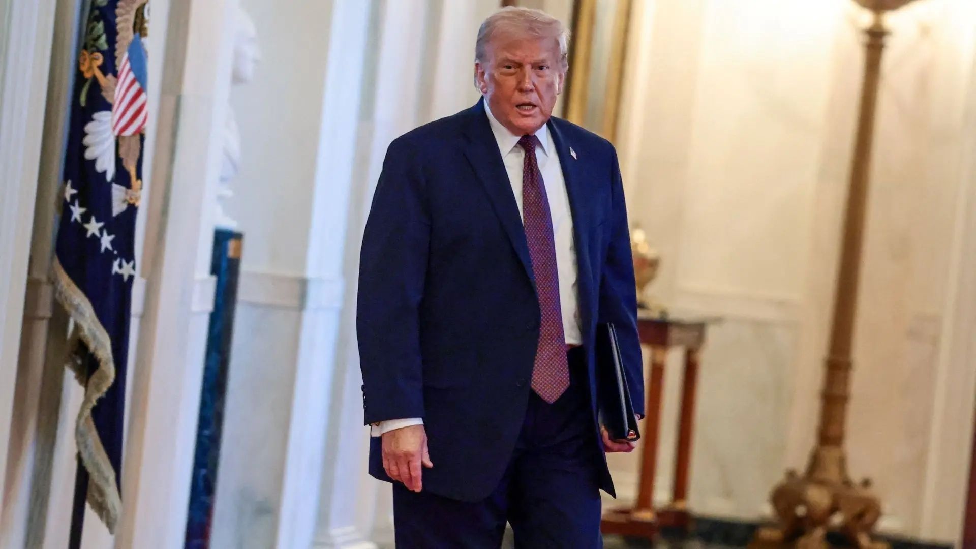 Plecas e informacion - 2026-01-18T104737.094