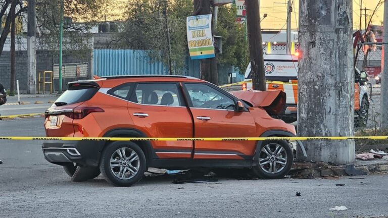 Plecas e informacion - 2026-01-18T120246.082