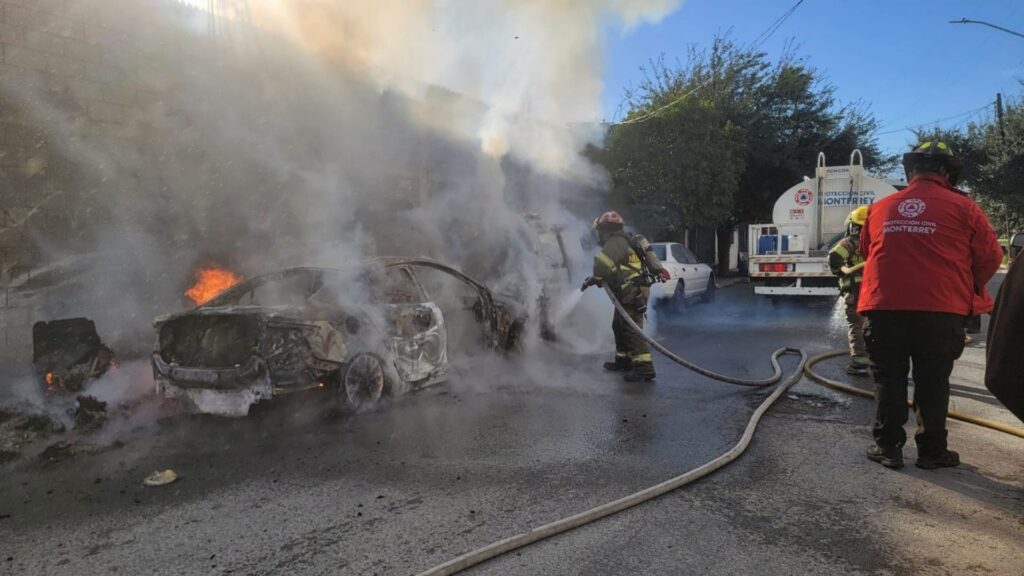 Plecas e informacion - 2026-01-18T121427.303