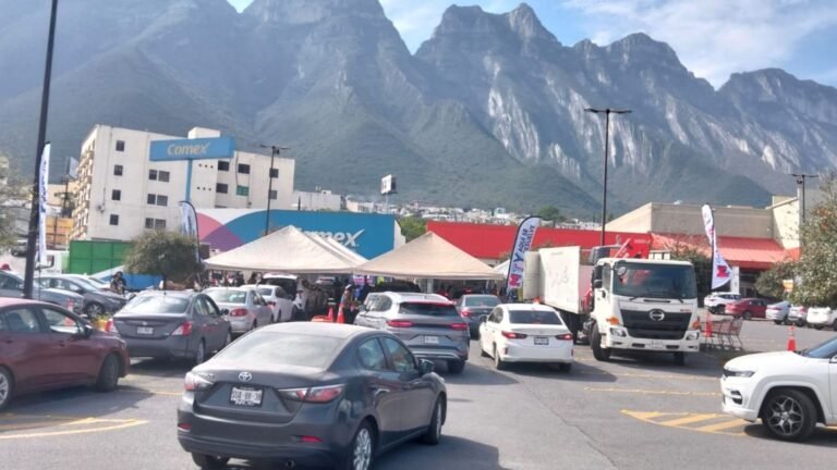 Plecas e informacion - 2026-01-18T132741.164