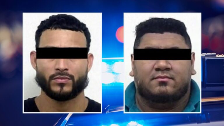 Plecas e informacion - 2026-01-19T173226.213