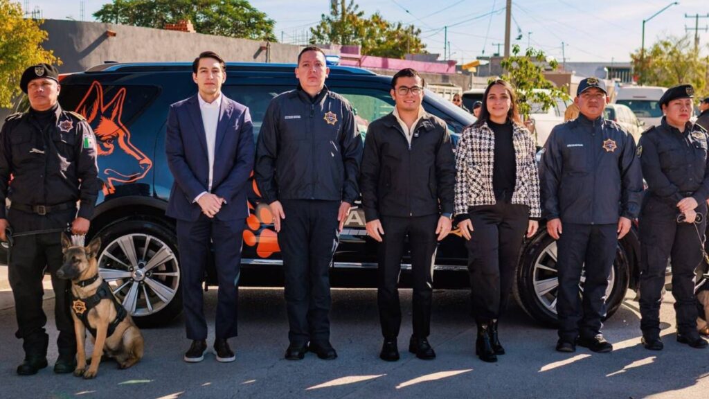 Plecas e informacion - 2026-01-19T180839.383