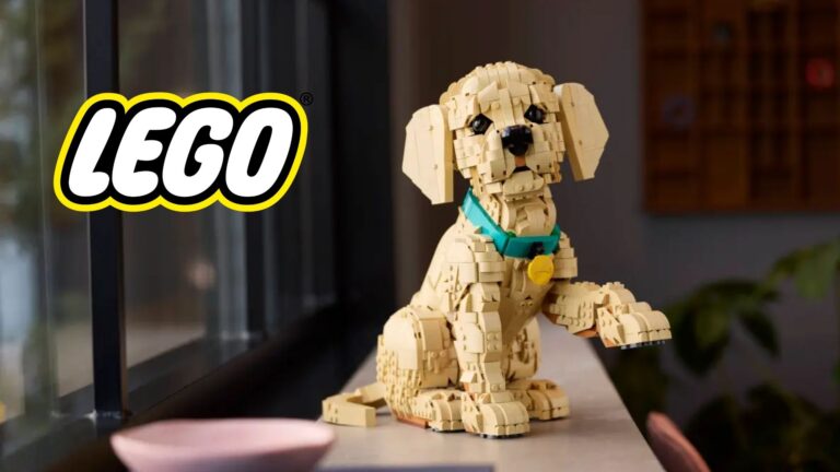 Plecas e informacion - 2026-01-20T133220.557