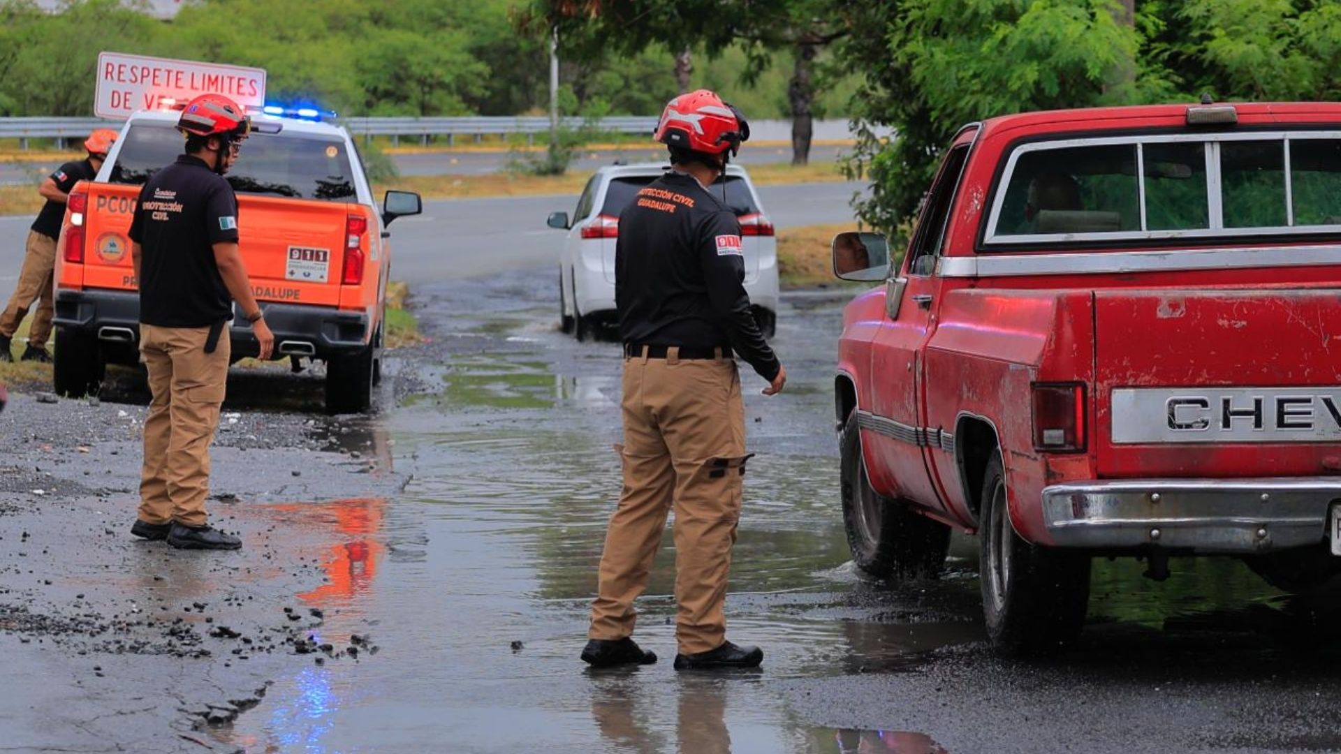 Plecas e informacion - 2026-01-20T160134.463