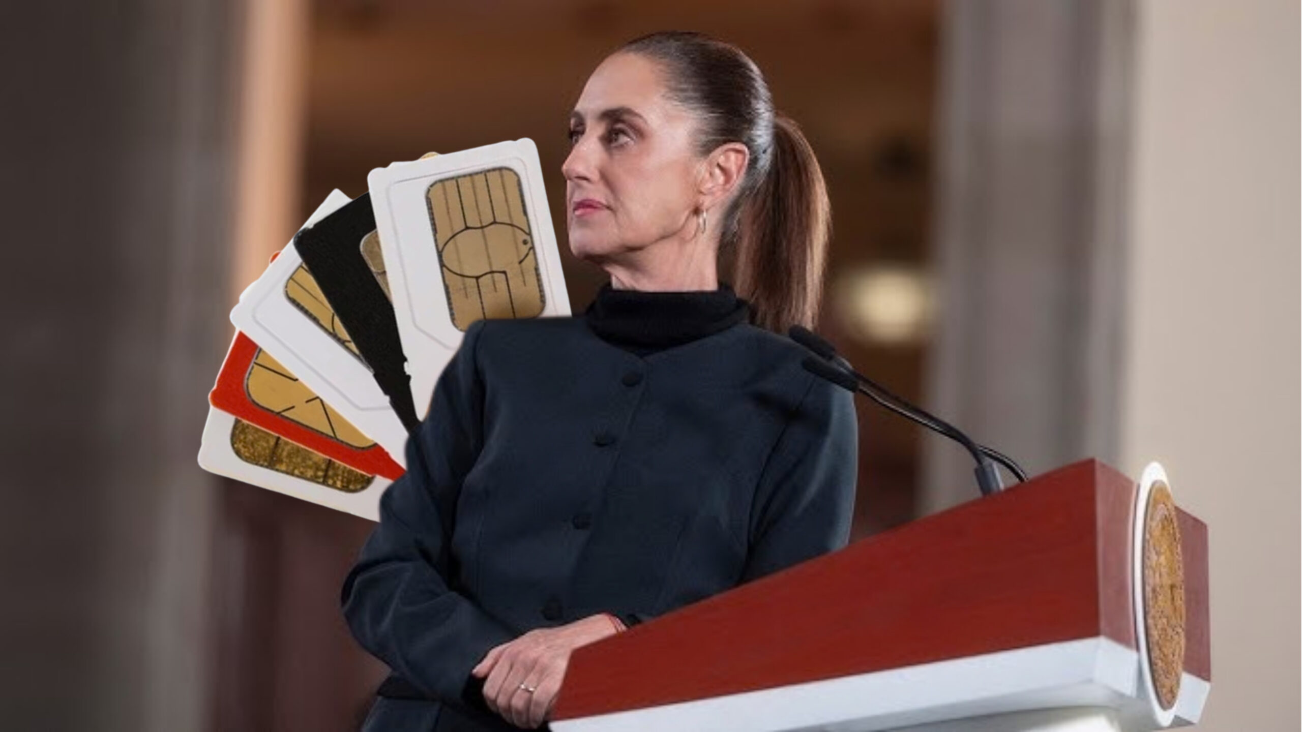 Plecas e informacion - 2026-01-21T112540.038