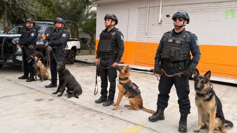 Plecas e informacion - 2026-01-21T154738.129