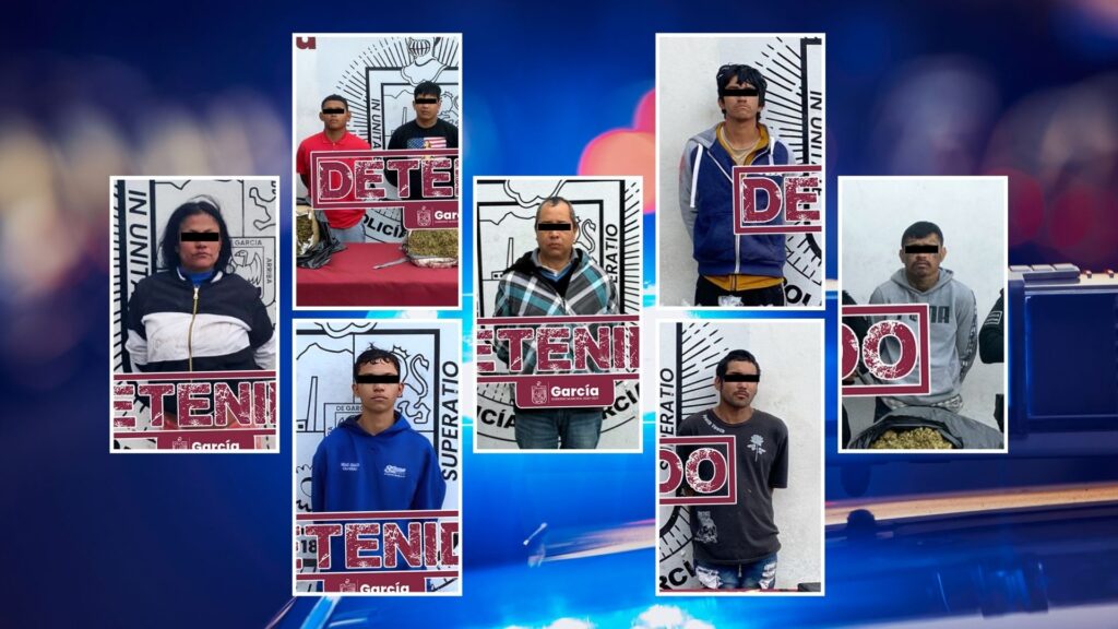 Plecas e informacion - 2026-01-21T162514.894