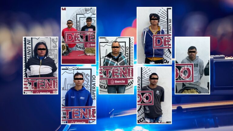 Plecas e informacion - 2026-01-21T162514.894