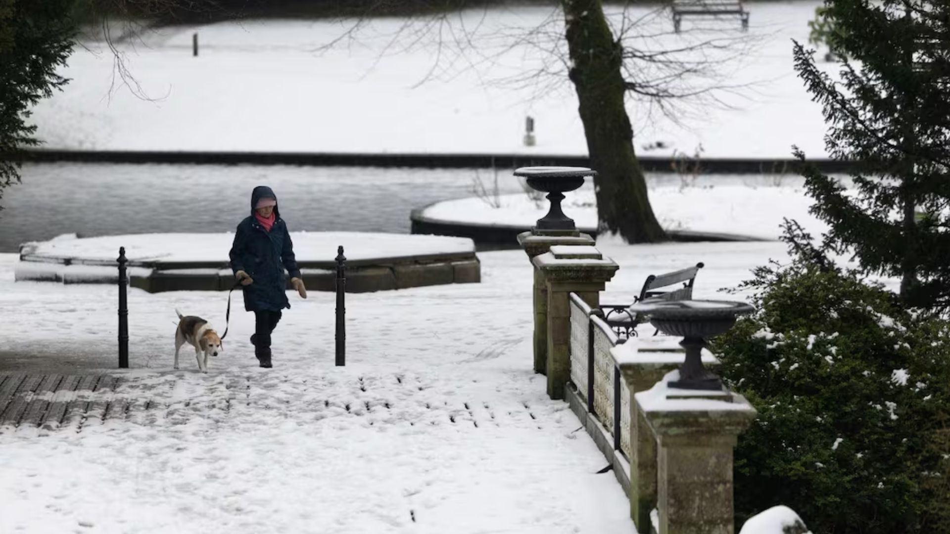 Plecas e informacion - 2026-01-23T155931.347