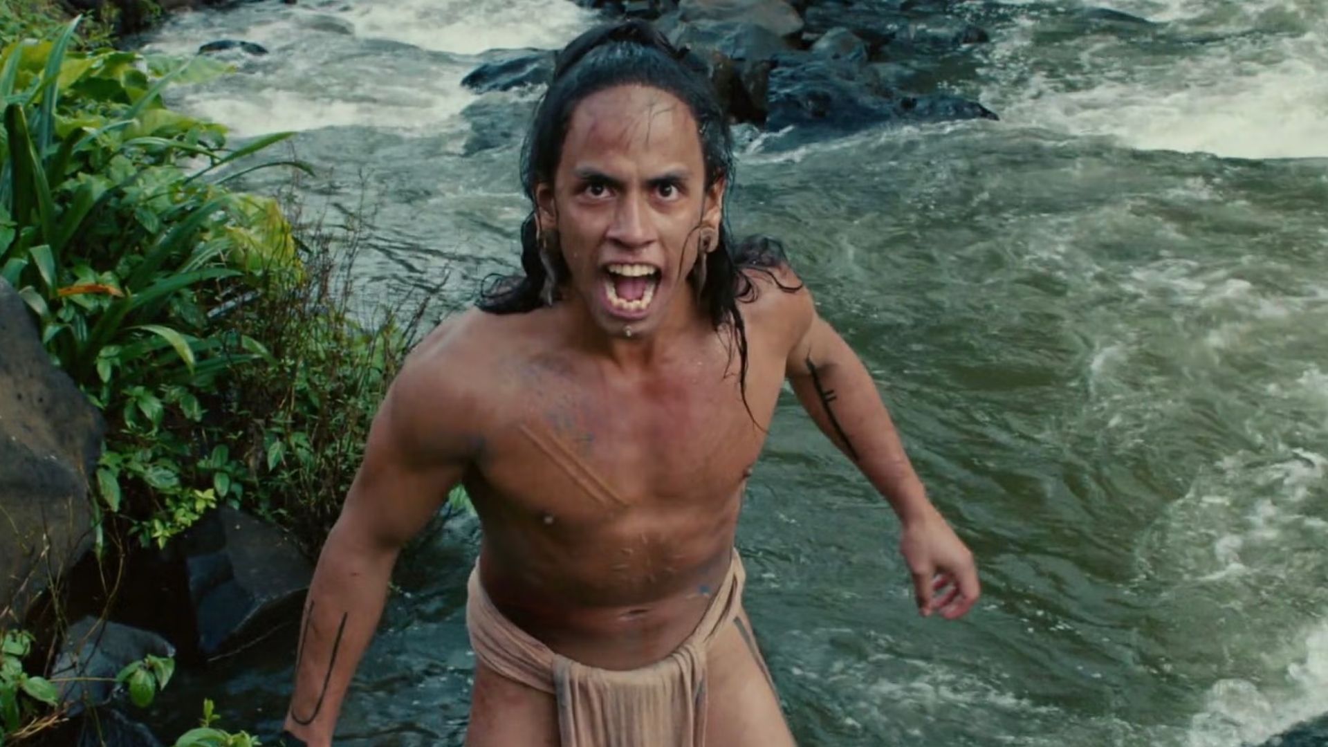 Plecas e informacion - 2026-01-23T163629.333