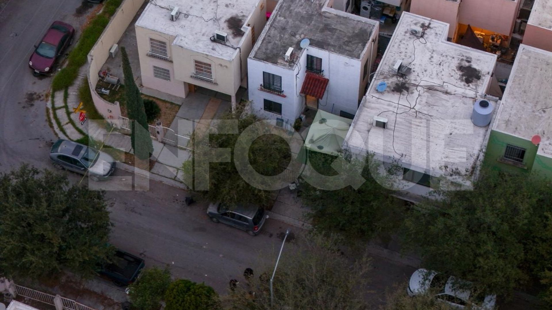 Plecas e informacion - 2026-01-24T181518.965