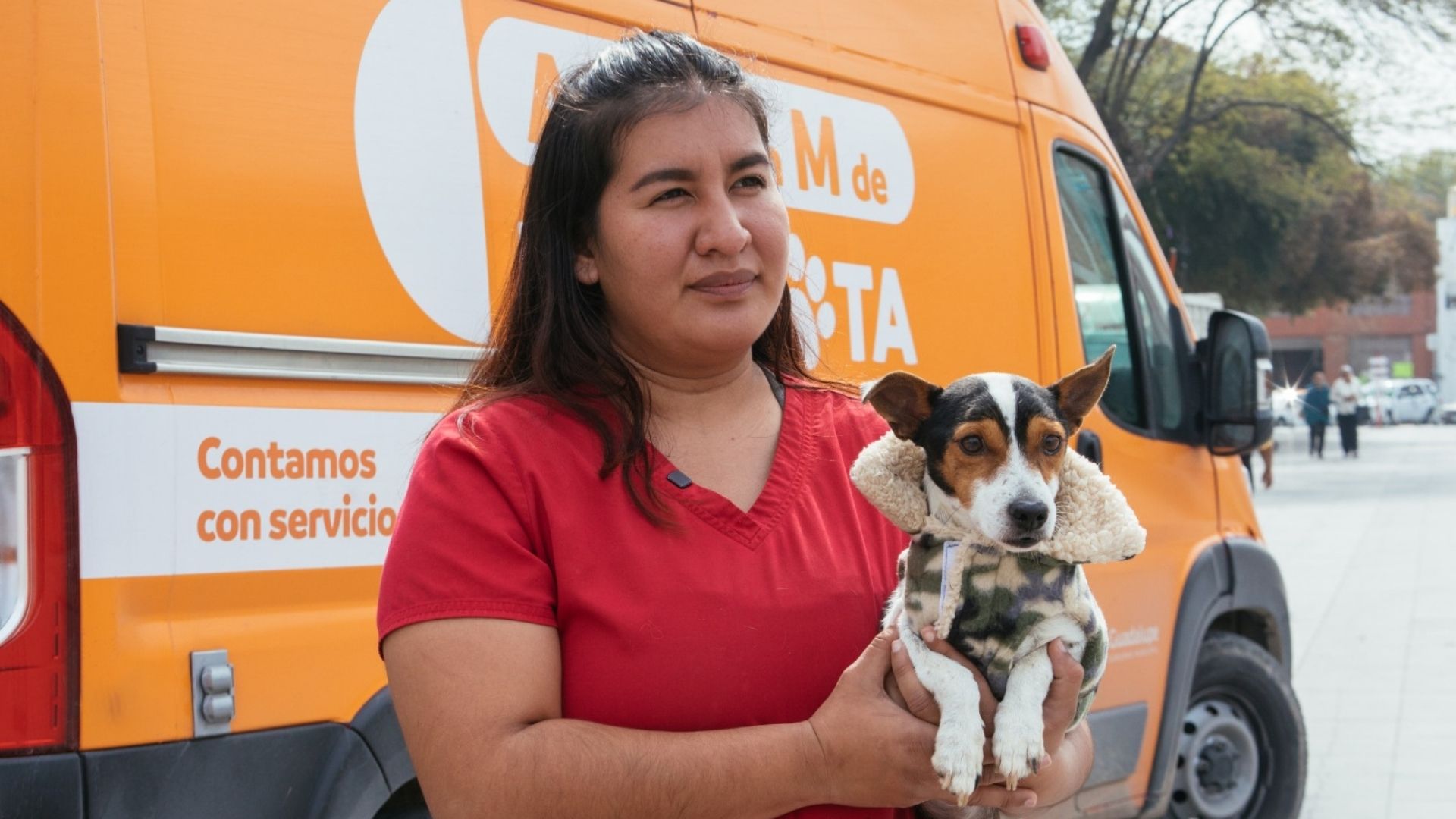 Plecas e informacion - 2026-01-25T135055.416