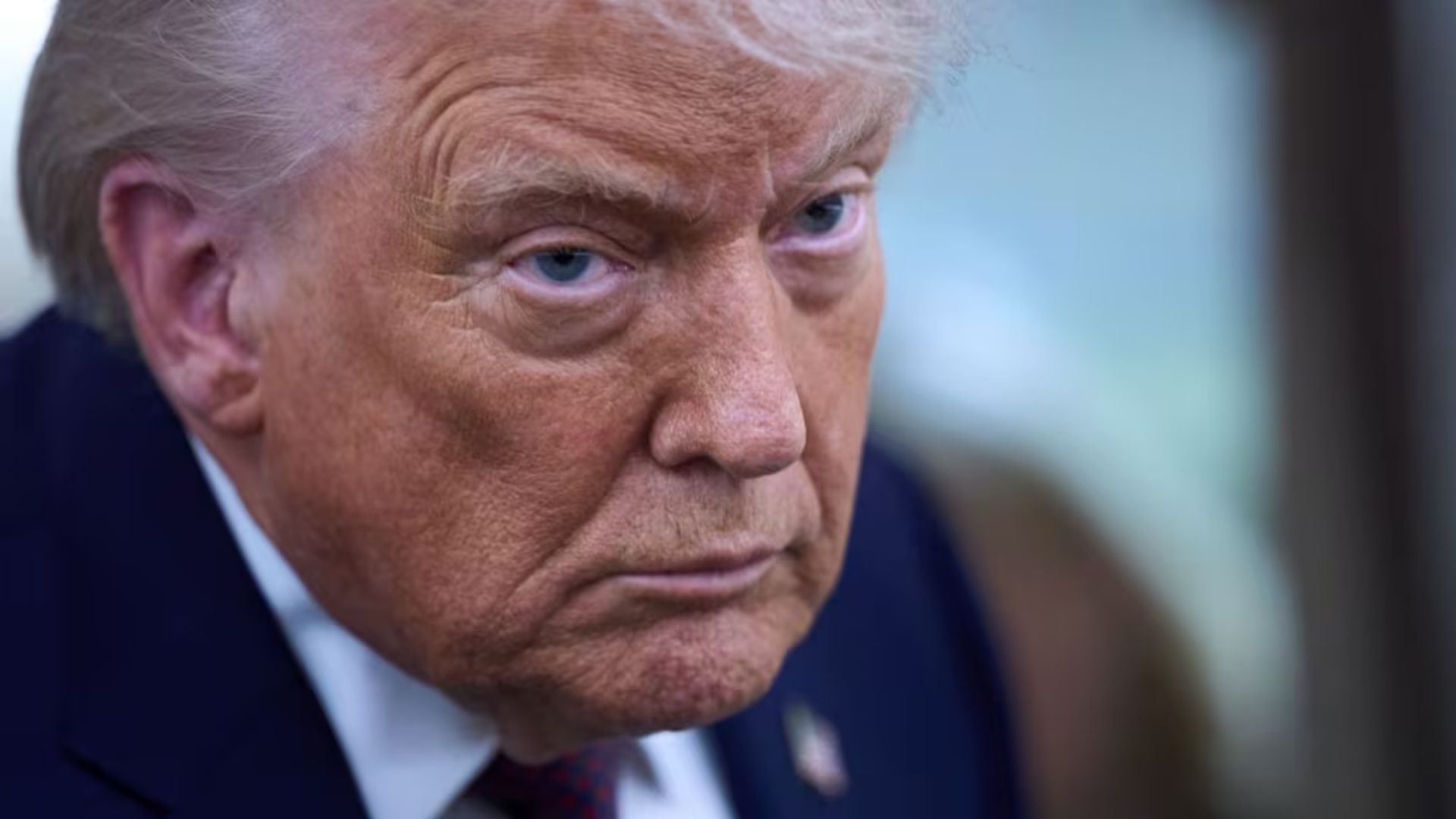 Plecas e informacion - 2026-01-26T152744.293