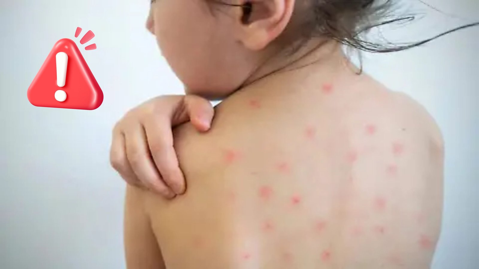 Plecas e informacion - 2026-01-27T122549.305