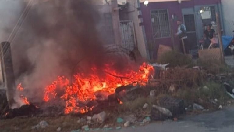 Plecas e informacion - 2026-01-27T153739.075