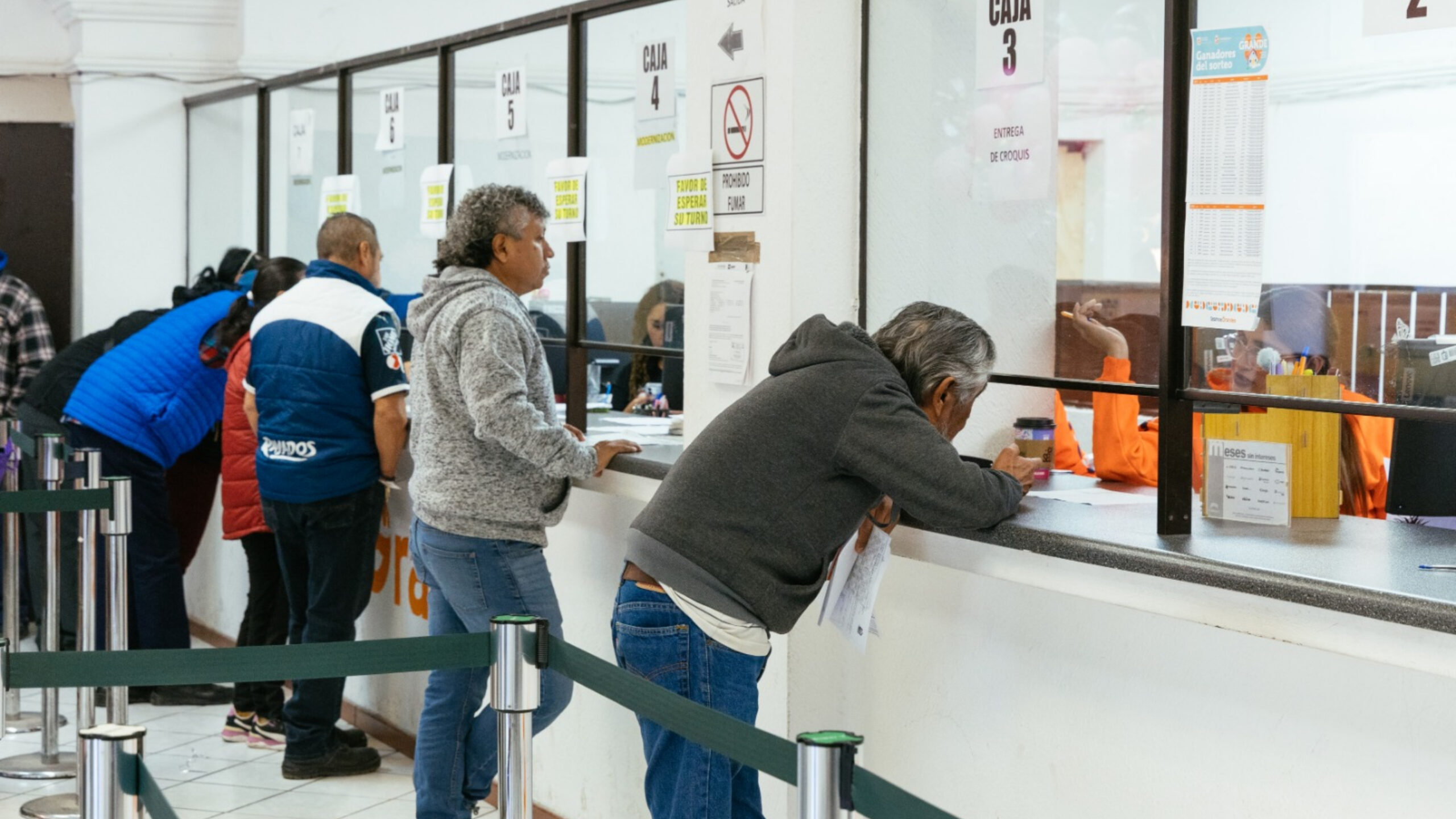 Plecas e informacion - 2026-01-28T123614.616