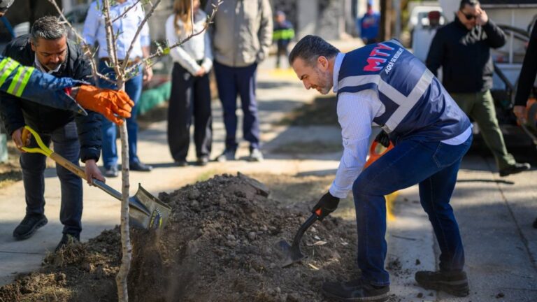 Plecas e informacion - 2026-01-28T172907.908