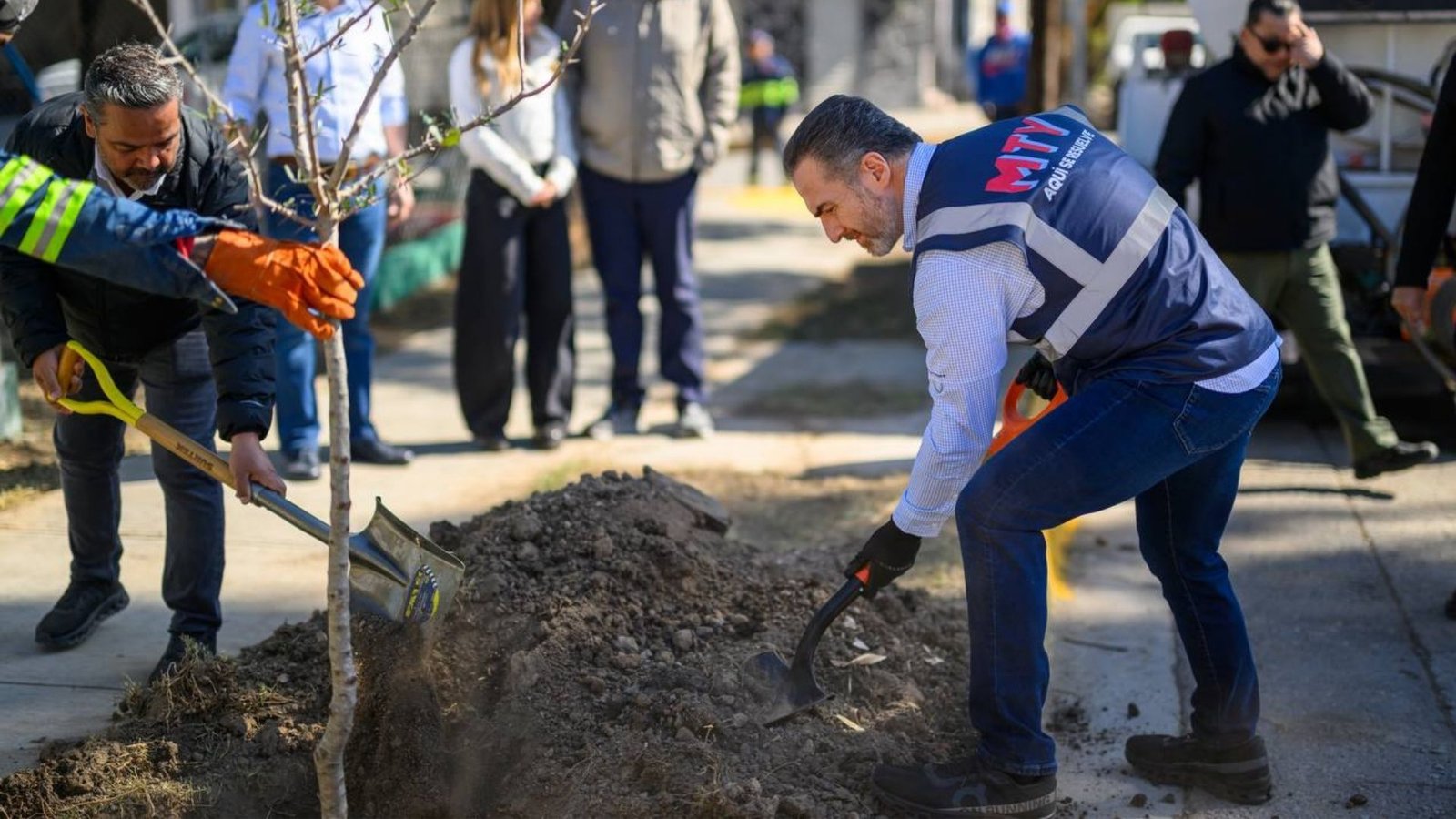 Plecas e informacion - 2026-01-28T172907.908