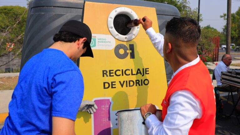 Plecas e informacion (39)