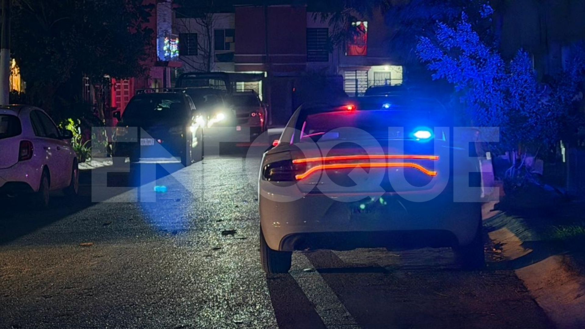 Plecas e informacion (4)