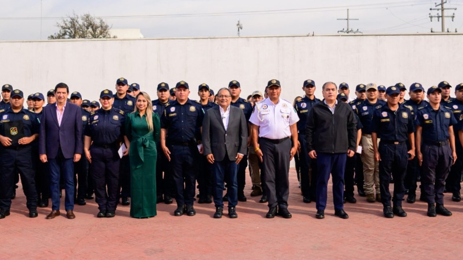 Plecas e informacion (41)