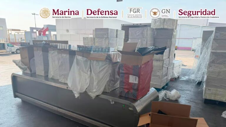 Plecas e informacion (43)