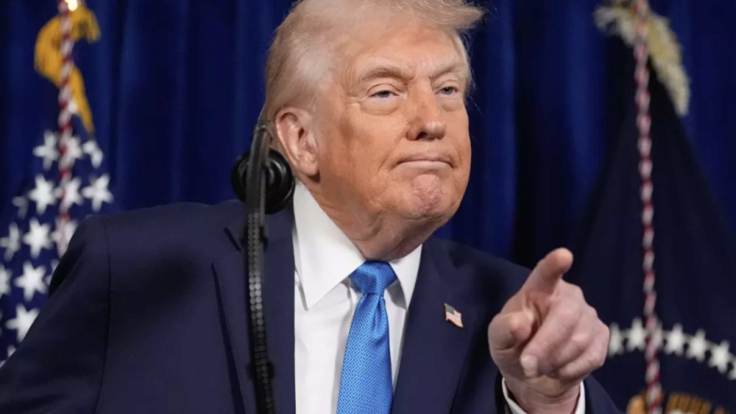 Plecas e informacion (44)