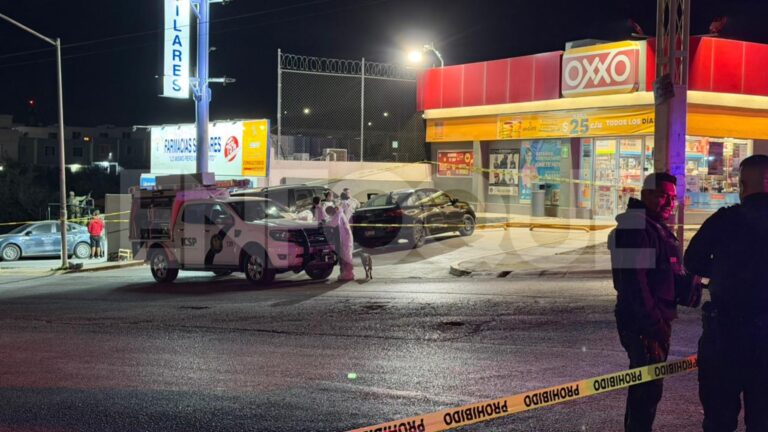 Plecas e informacion (51)