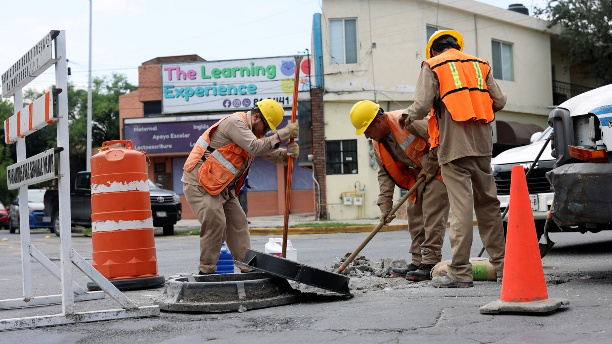 Plecas e informacion (52)