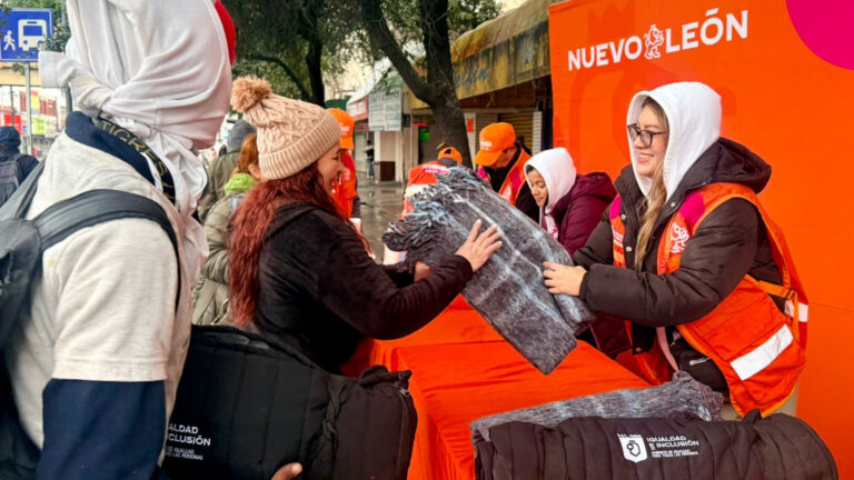 Plecas e informacion (53)