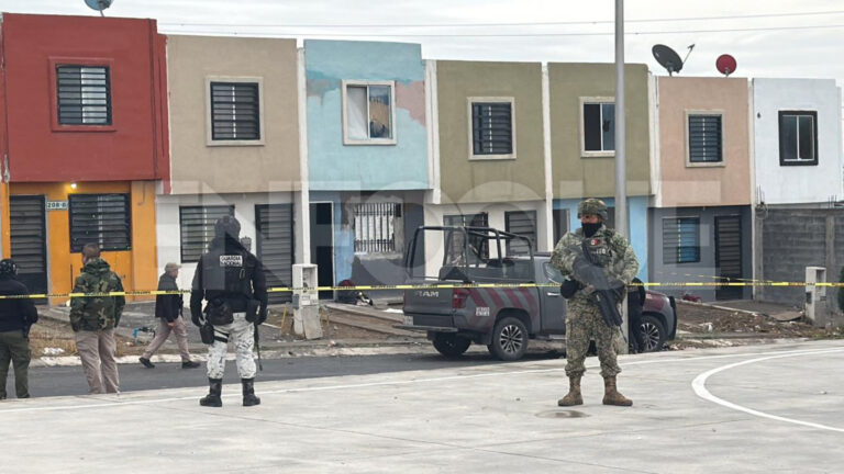 Plecas e informacion (55)