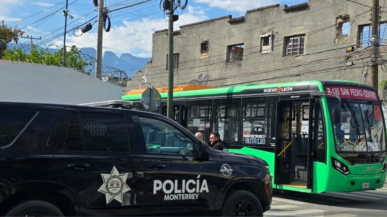 Plecas e informacion (57)