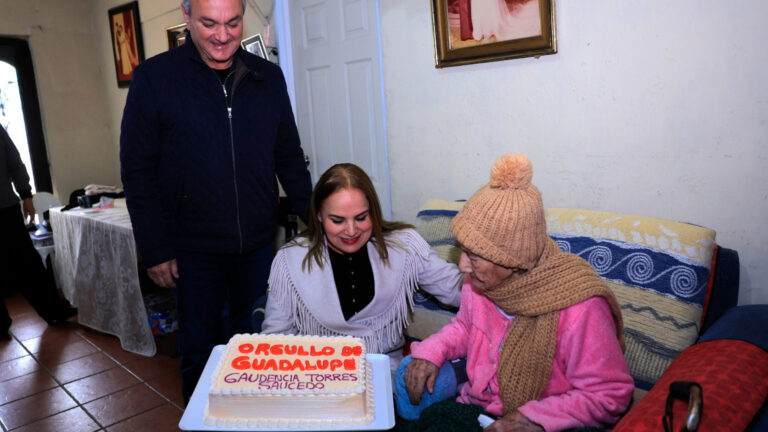 Plecas e informacion (61)